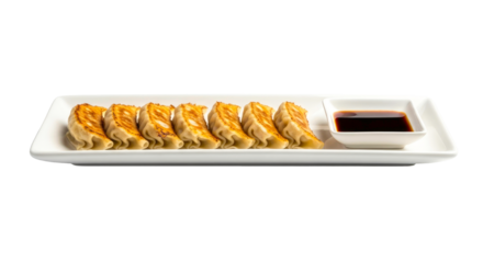 delicious panfried gyoza dumplings with soy sauce asian cuisine