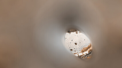 Abstract background. An old, deteriorated, white, perforated zinc basin left in a backyard. Gradient of brown, white, and light gray. Blurred. Nature, fungus, forest, autumn, grass, food, green, white