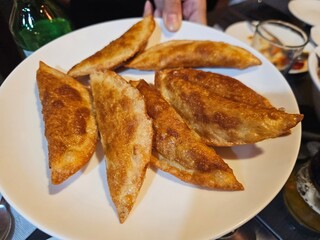 Crispy Fried Dumplings on a White Plate