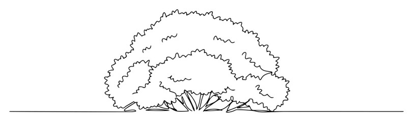 large decorative bush plant garden element vector outline monoline