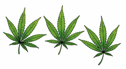 Minimalist Vector SVG Illustration of Cannabis Leaves in Flat Design Style with Green Color Palette
