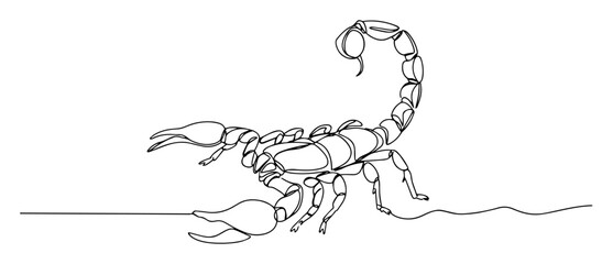 one continuous line drawing of a desert scorpion arachnid for a wildlife and zodiac concept vector contour lineart