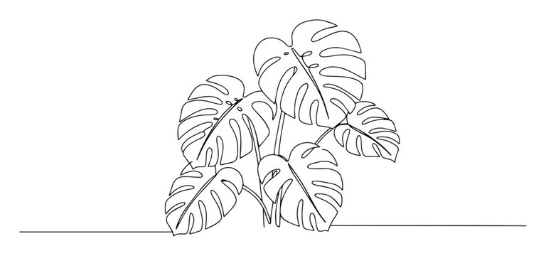 Monstera Deliciosa plant drawn in one continuous line. Tropical houseplant in a minimalist art style. Modern botanical vector illustration for home decor or logo.