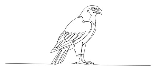 one continuous line drawing of a majestic falcon bird of prey representing the egyptian god horus vector contour lineart © Wieslaw