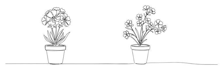 continuous one line drawing set of two blooming potted houseplants a simple home garden and interior decoration vector outline sketch