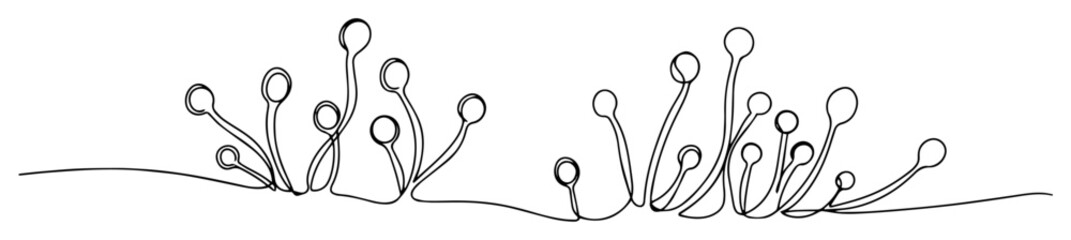 mold fungus spores mucor one continuous line drawing