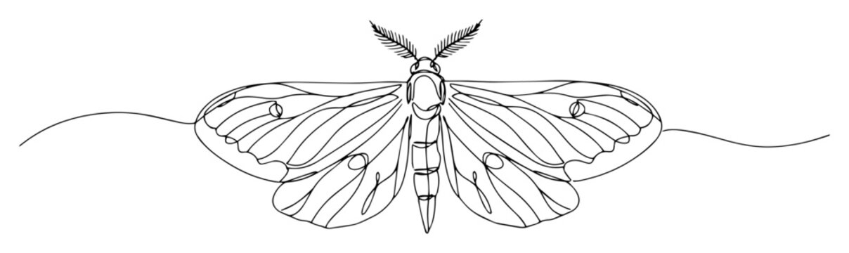 elegant continuous line drawing of a garden tiger moth a beautiful flying night insect vector