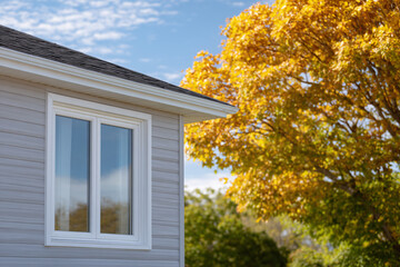 Autumn Daytime View of a Cozy House Window Framed by Golden Maple Leaves