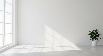 Obraz premium Spacious and bright minimalist white room with a large window casting natural light and shadows, featuring an isolated green plant, perfect for clean design concepts.