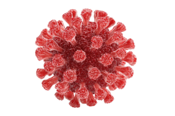 Close-up view of a red virus particle.  Spiky,  complex structure.  Highly magnified.  Viral form