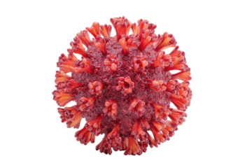Close-up of a virus, red and orange spiky sphere on black background