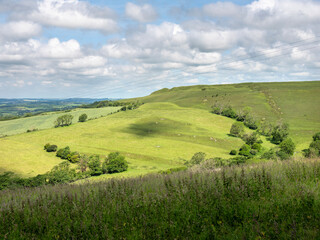 grassy hills and trees in countryside landscape of south dorset in south england