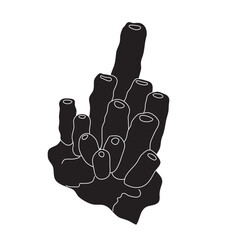 Seaweed and coral black isolated silhouette on white background for icons, stickers, posters, webs