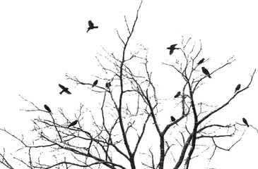 minimalist black tree silhouette with flying birds vector graphic background design