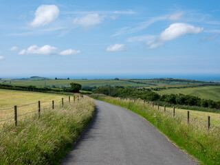 dorset country road on summer day with flowers and fields