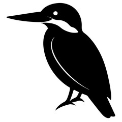  Kingfisher Bird Silhouette