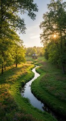 Obraz premium Serene park stream at dawn