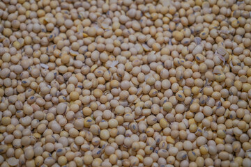 A close-up view of dry soybeans creating a natural texture and pattern.