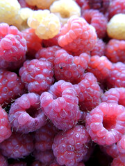 raspberry close up