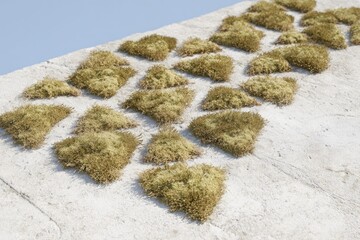Patterned, light-tan moss patches on light-grey concrete