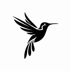hummingbird vector illustration
