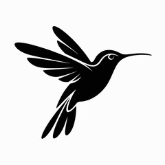 hummingbird vector illustration
