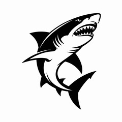 Obraz premium shark vector illustration