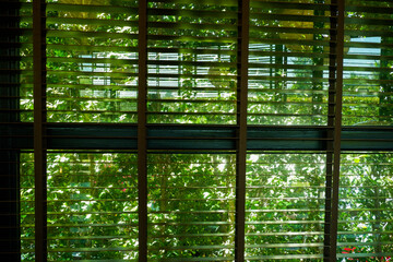 Blinds window decoration interior of room,Venetian blind or sun blind.