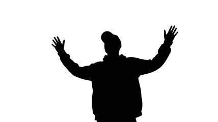 Silhouette of a black cat with arched back Keywords: cat, silhouette, black, animal, feline