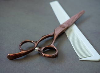 Scissors and comb