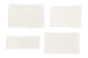 Four pieces of textured torn paper with rough edges on transparent background.