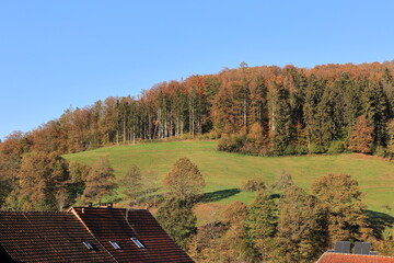 Sonniger Herbsttag bei Steinen im Hochschwarzwald	