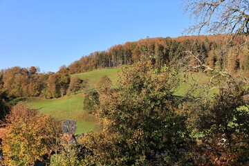Sonniger Herbsttag bei Steinen im Hochschwarzwald	