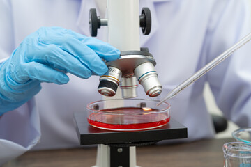 Scientist medical professional use microscope for research in science laboratory.