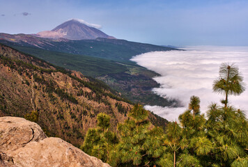 Fototapeta premium Teide above cloud inversion