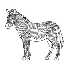 zebra vector illustration coloring page line art