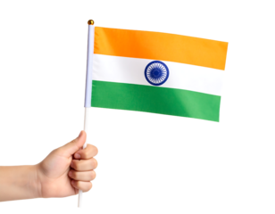 A hand holding a small flag of India.
