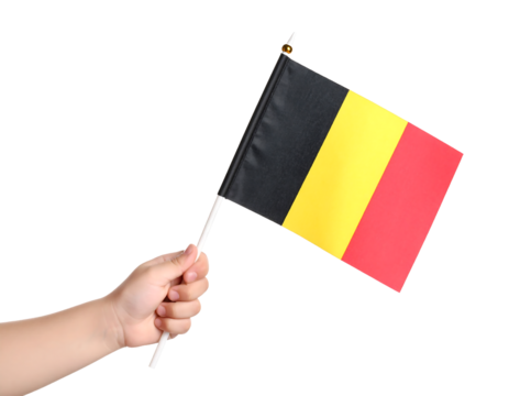 A person holding a miniature flag of Belgium.