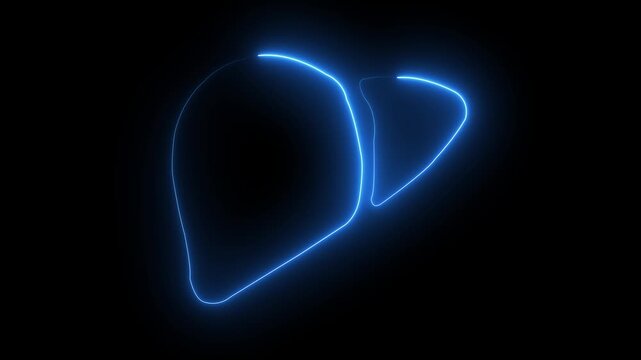 Glowing neon human liver icon animation with cyan color. Human liver icon concept.Glowing neon line human liver icon .The liver functions to detoxify the blood. Organ icon Neon human organ icon,4k