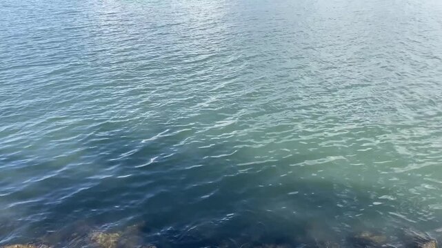blue water surface