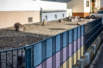 Schottergarten vor dem Haus