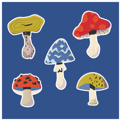 Forest mushroom sticker set. Vegetarian natural seasonal food. Psychedelic, decorative, whimsical mushrooms. Vector illustration