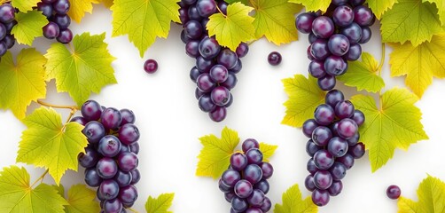 Light background, purple grape clusters & green leaves form a repeating tile pattern, purple, texture