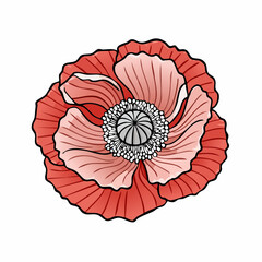 Exquisite Watercolor Red Poppy Illustration: A Delicate and Vibrant Floral Artwork