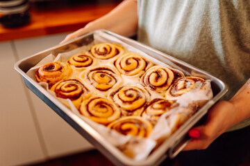 Fresh and flavorful desserts are tempting under the glass dome of this cozy bakery. Cozy atmosphere with fragrant cinnamon buns, cupcakes and muffins in the coffee shop. Dessert and food concept.