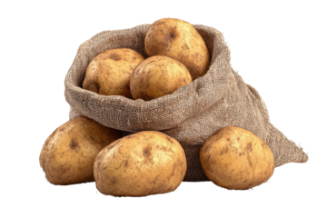 A burlap sack filled with several fresh, earthy potatoes