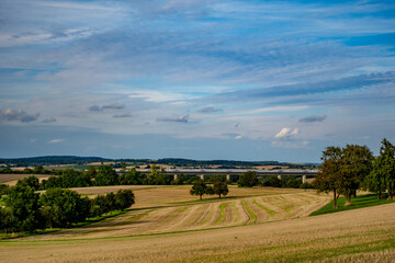 Baumgrundstück im Sommer