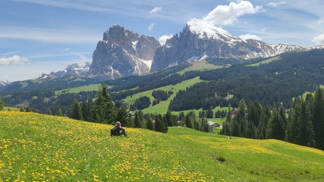 Alpe si Siusi in Dolomiten