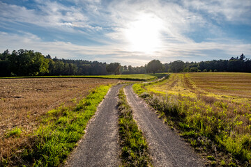 Pfützen auf einem Feldweg
