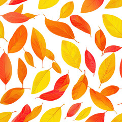 Maple Leaf Seamless Pattern in Red, Orange & Yellow on White